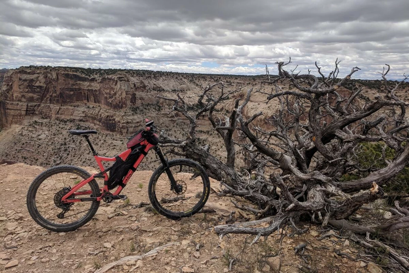 Revelate Designs Bei Brügelmann Online Revelate Designs Full Suspension Rahmentasche Large Schwarz 3 Revelate Designs Bei Brügelmann Online Revelate Designs Full Suspension Rahmentasche Large Schwarz